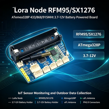 Lora Rfm95 - نقطة اتصال LoRa بترددات 433/868/915 ميجاهرتز