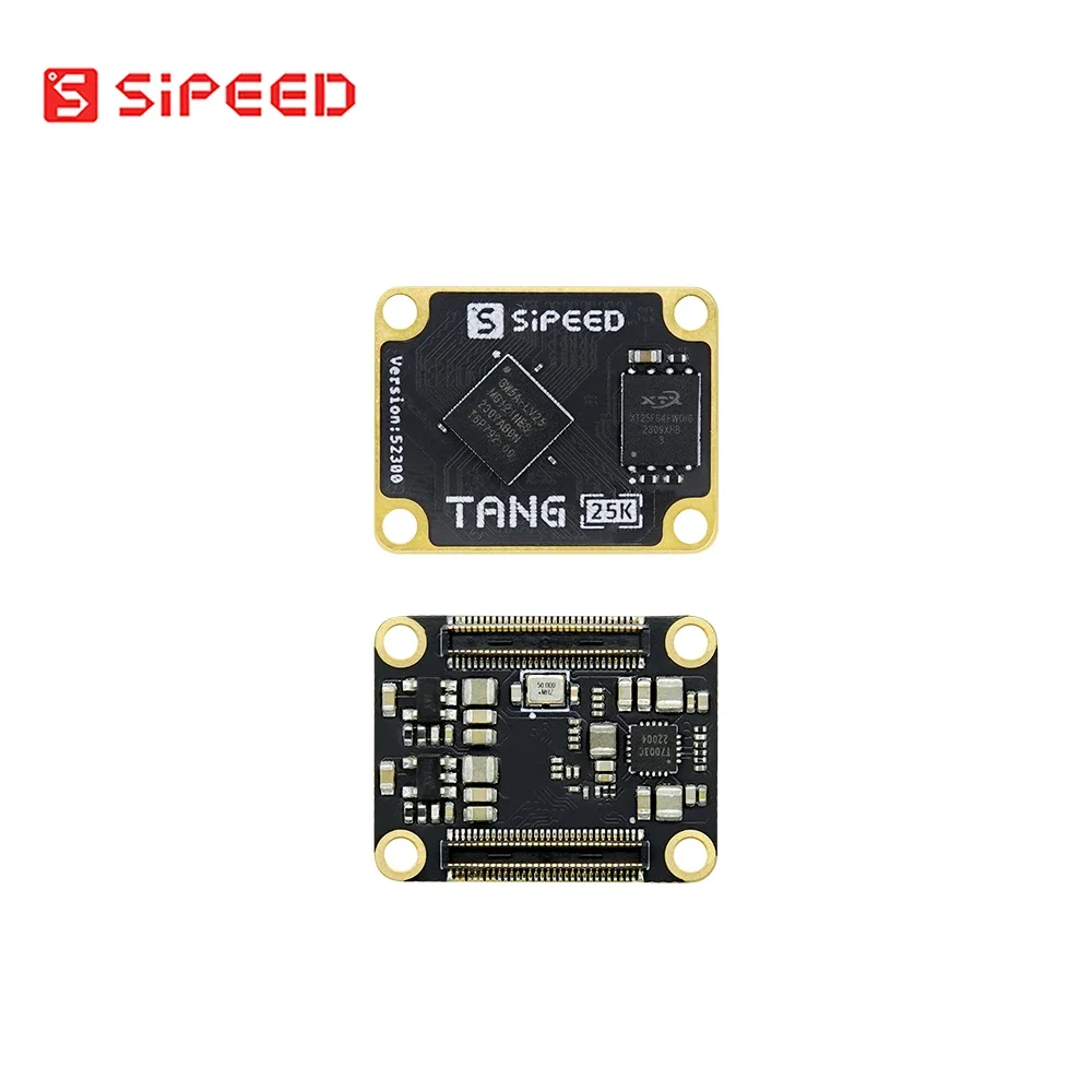 لوحة تطوير GW5A RISCV FPGA ، S - مراجعة Lora Rfm95 وسعره